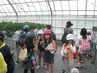 2008-05-01 15:40:39