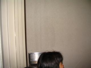 2008-06-20 09:29:19