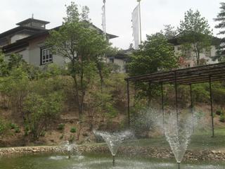 2008-05-01 10:31:19