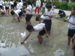 2008-05-13 15:18:44