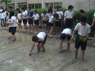 2008-05-13 15:23:34