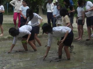 2008-05-13 15:23:48