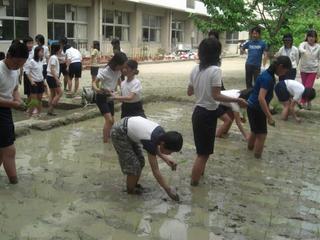 2008-05-13 15:34:44