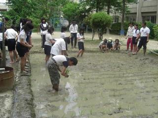 2008-05-13 15:40:39