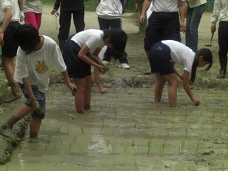 2008-05-13 15:43:25