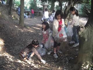 2008-11-05 15:17:43