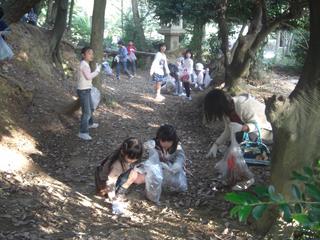 2008-11-05 15:17:49