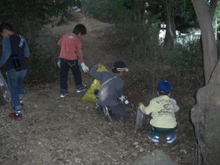 2008-11-05 15:19:33