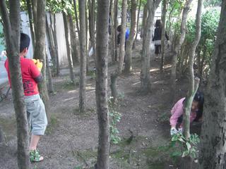 2008-11-05 15:25:39