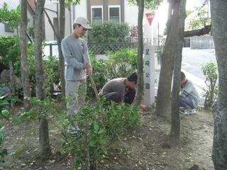 2008-11-05 15:26:13