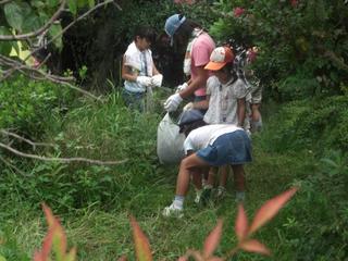 2008-09-04 13:52:07