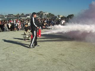 2008-12-15 10:18:44
