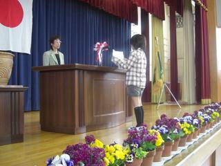 2008-04-04 11:28:12