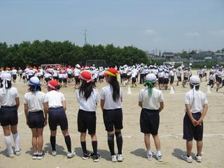 2008-05-22 11:16:54