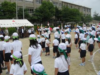 2008-05-24 08:42:54