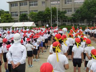 2008-05-24 08:46:54