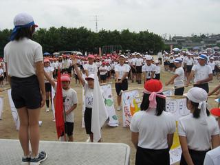 2008-05-24 08:50:25