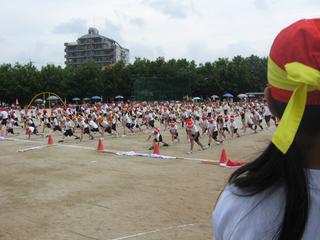 2008-05-24 08:59:17