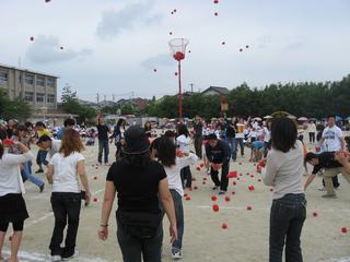 2008-05-24 09:52:19
