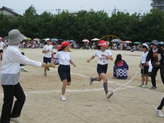 2008-05-24 10:34:41