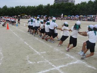 2008-05-24 11:00:23