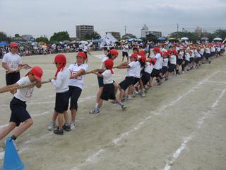 2008-05-24 11:02:37