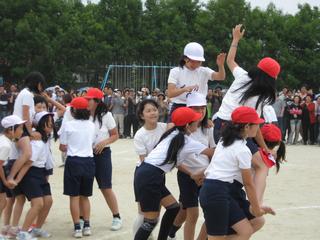 2008-05-24 11:19:16