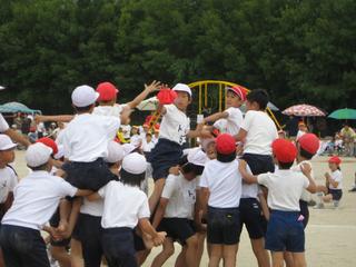 2008-05-24 11:22:39