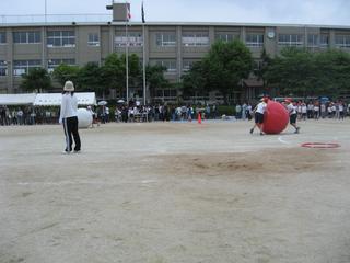 2008-05-24 12:50:19