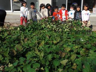 2008-11-04 13:13:19