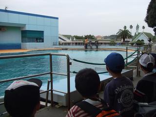 2009-01-31 17:08:05