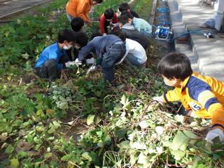 2008-11-18 08:58:07