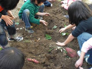 2008-11-19 12:07:52