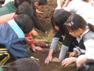 2008-11-19 12:08:06