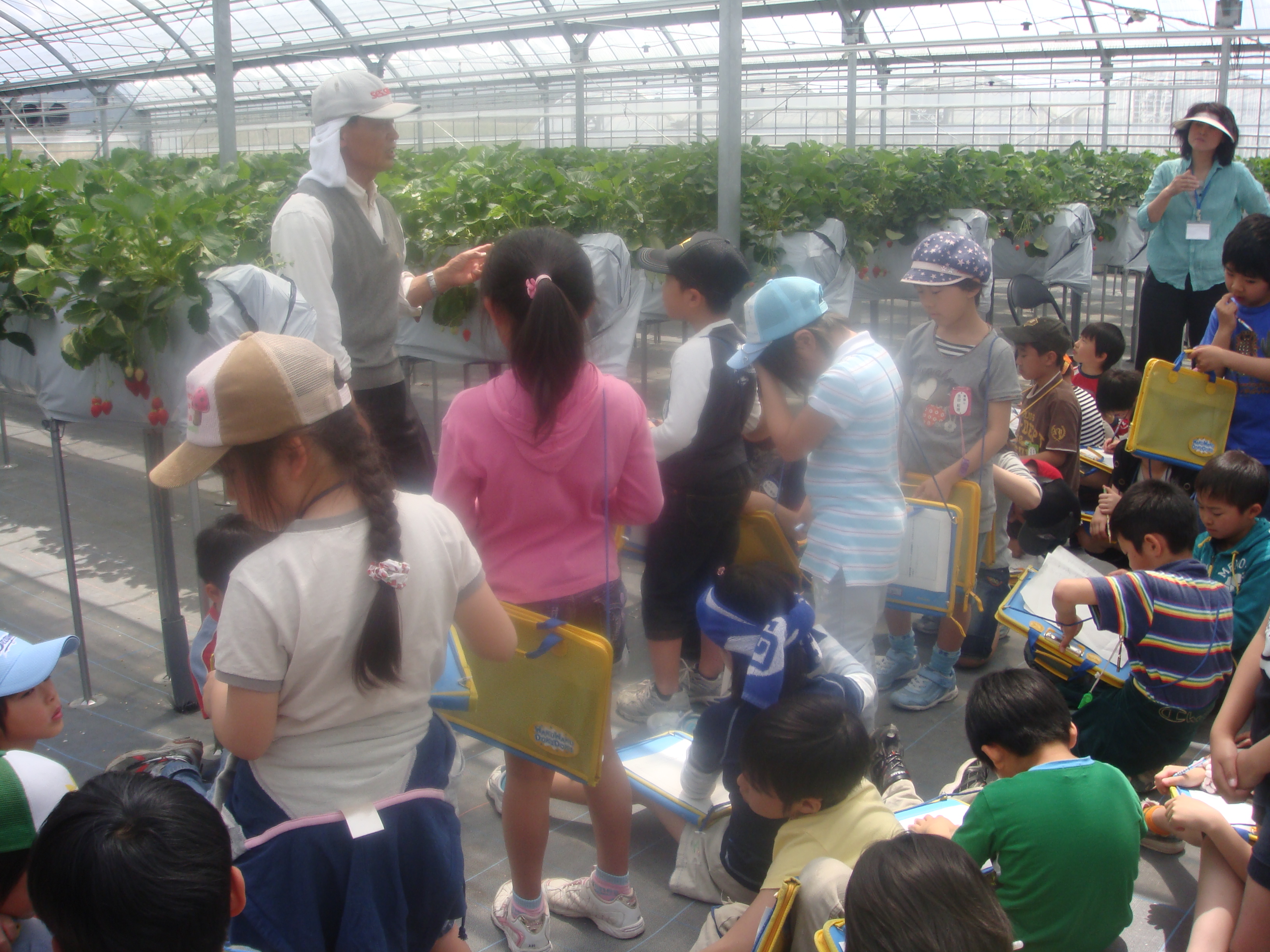 dsc01393.jpg