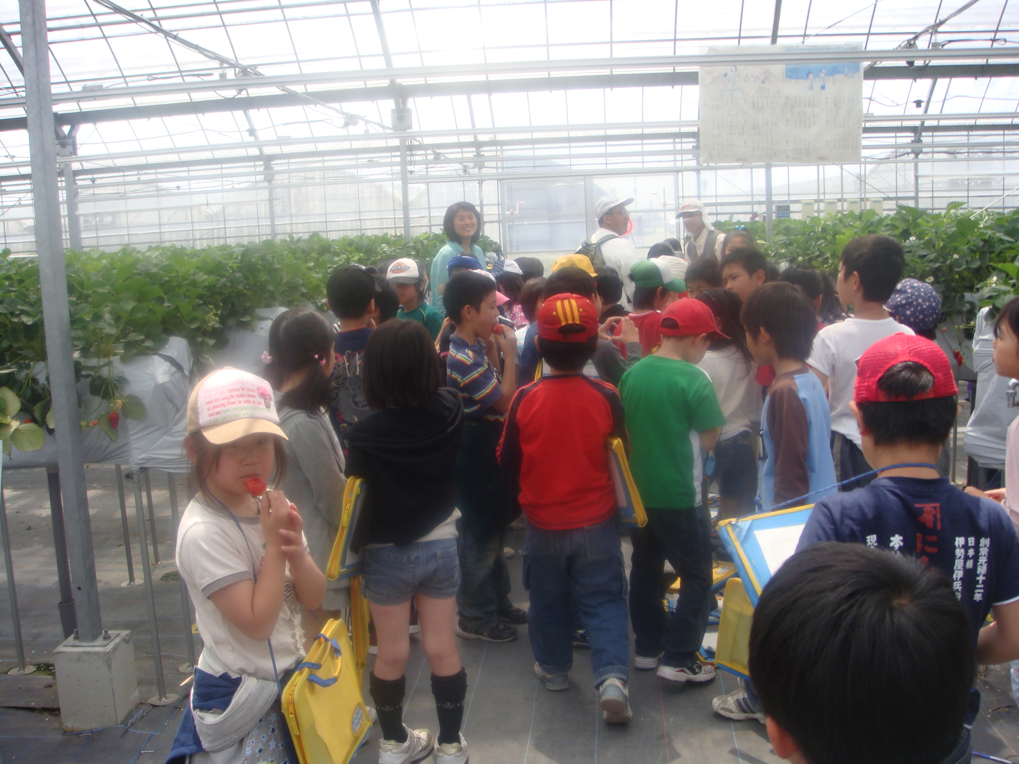 dsc01408.jpg