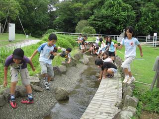 2009-07-03 09:46:09