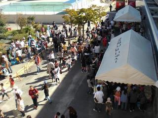 2008-10-11 09:29:55