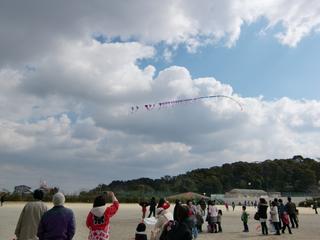 2010-02-20 11:58:12