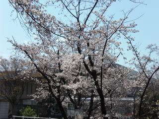 2009-04-02 13:00:57