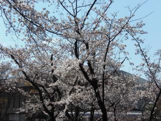 2009-04-02 13:01:08