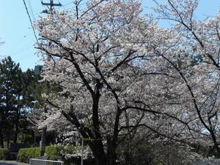 2009-04-02 13:02:15