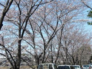2009-04-02 13:02:33