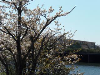 2009-04-02 13:03:39