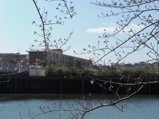 2009-04-02 13:04:25