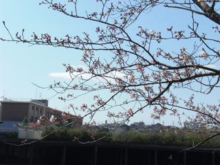 2009-04-02 13:04:44