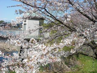 2009-04-02 13:05:26