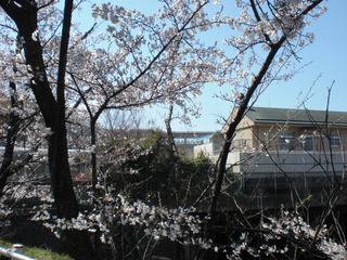 2009-04-02 13:06:08