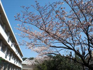 2009-04-02 13:08:35