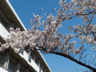 2009-04-02 13:09:03